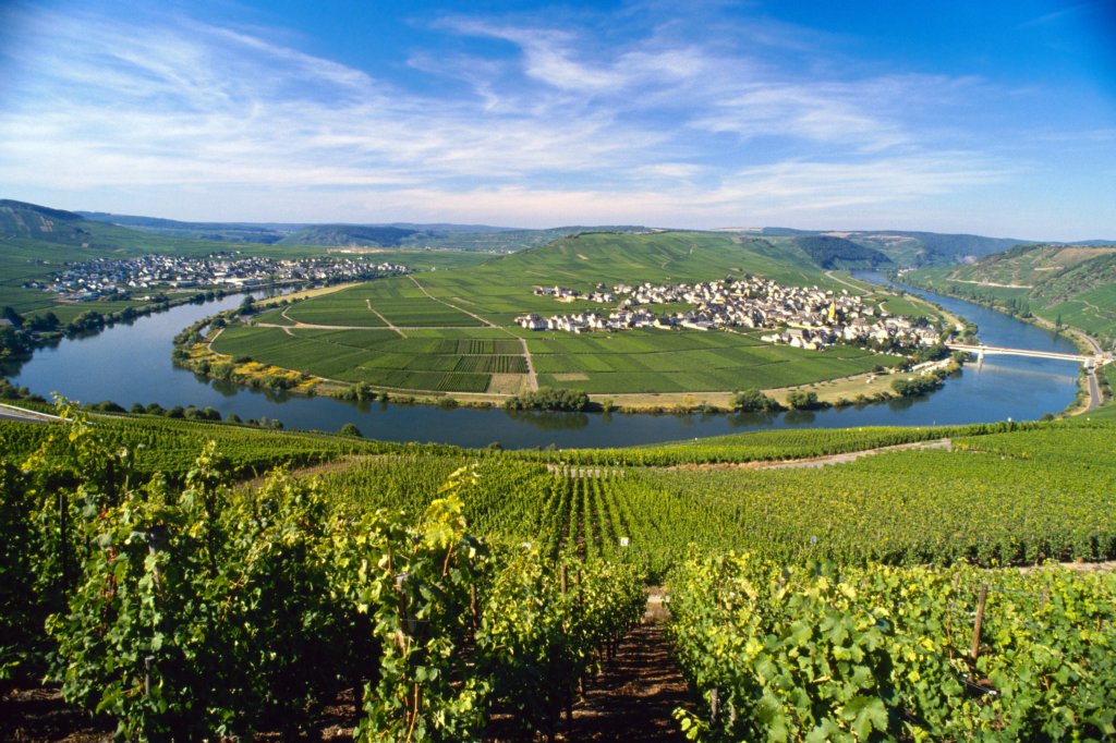 mosel