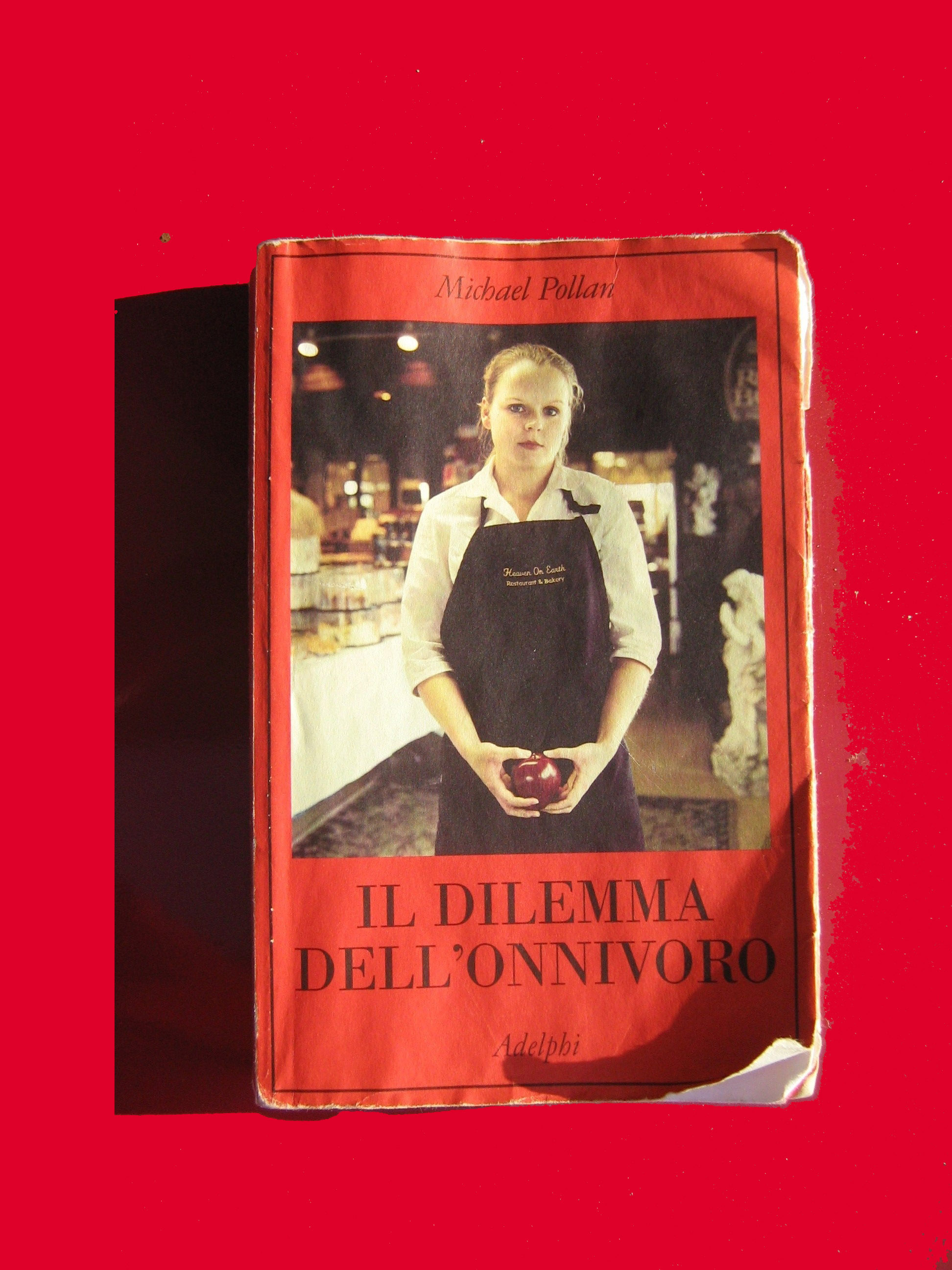 dilemma-3