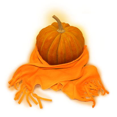 zuccasciarpazip