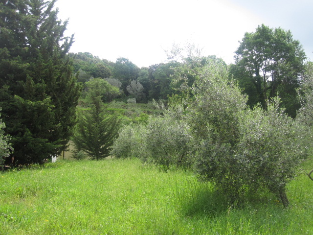 albabarolo04-massavecchia_canto-039