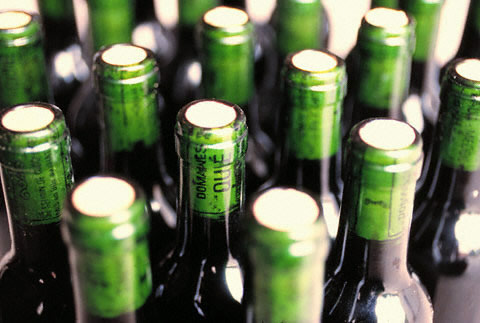 vino1