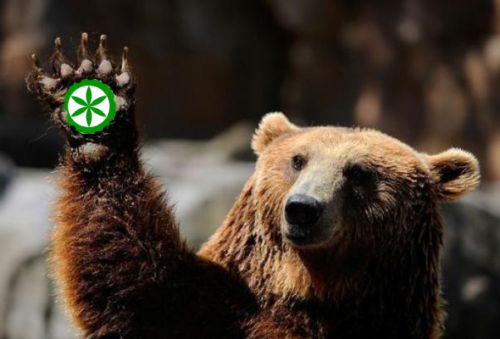 orso-leghista