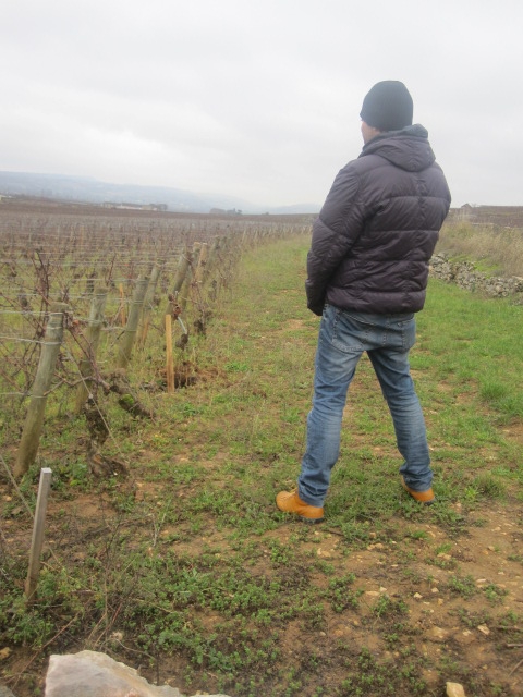 borgogna-2011-006