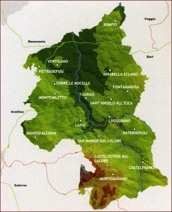 piantina_taurasi