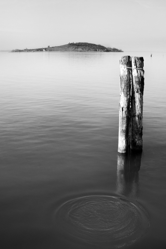 isola-polvese