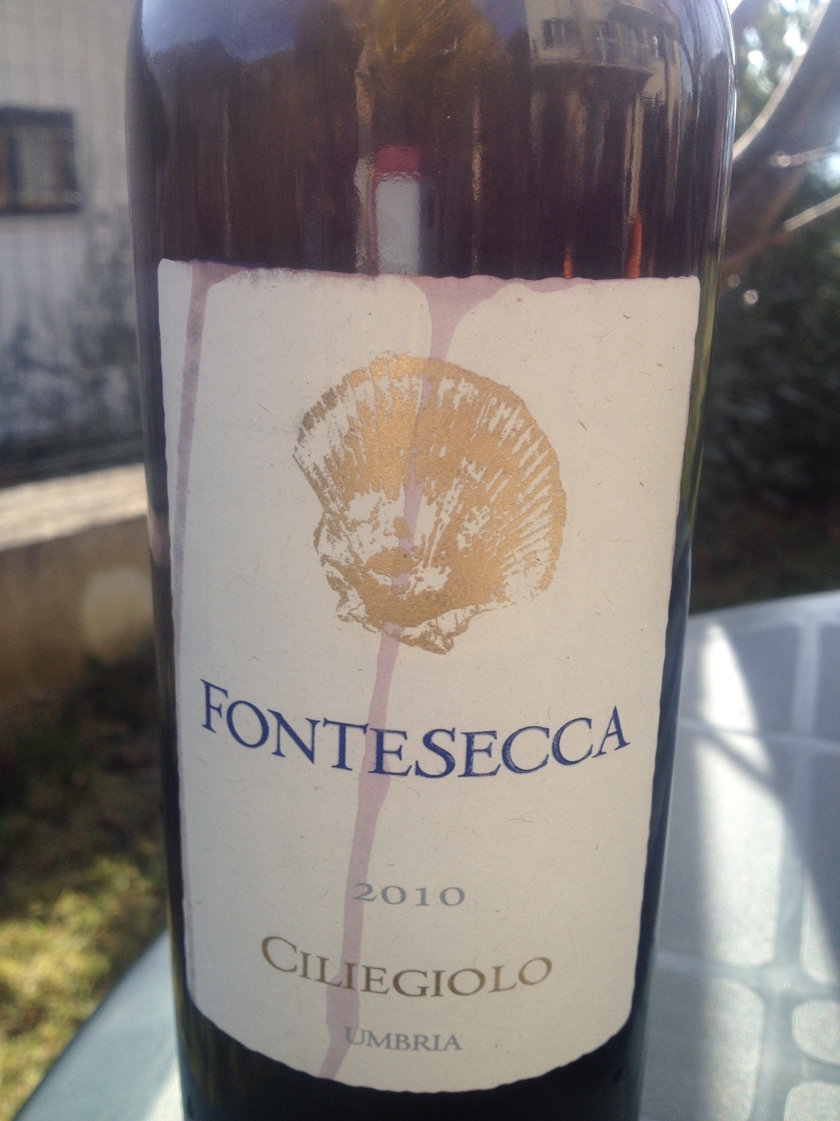 ciliegiolo-fontesecca