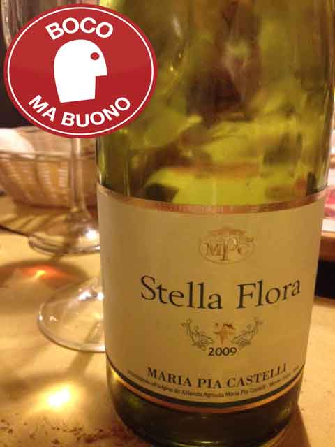 stella-flora