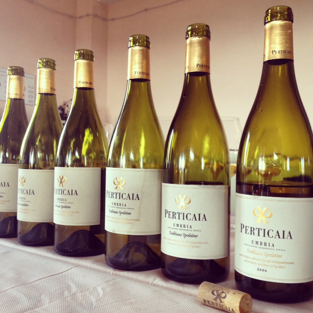 trebbiano-spoletino-perticaia