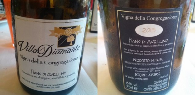 Villa Diamante - Fiano Congregazione '13