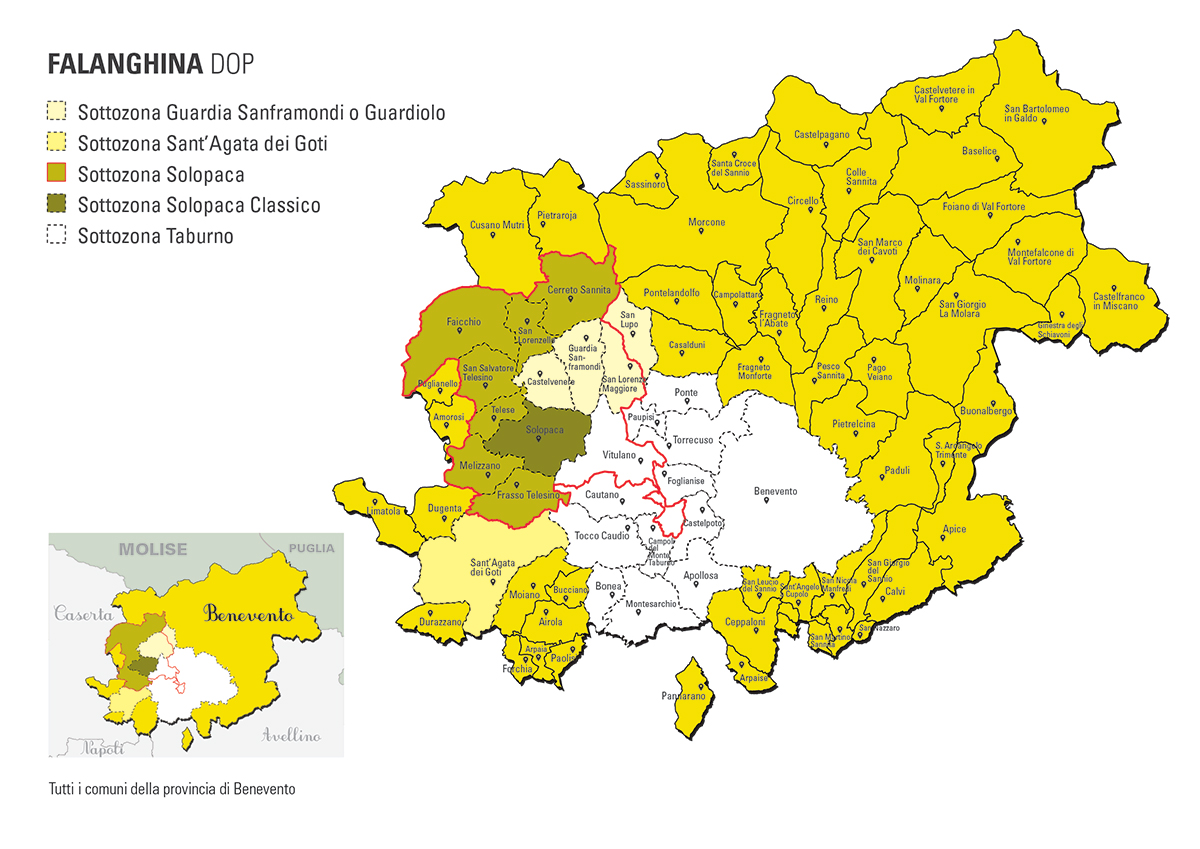 falanghina del sannio dop