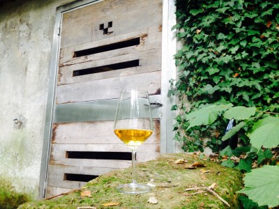 Musco cantina esterna