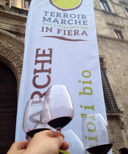 Terroir Marche in fiera