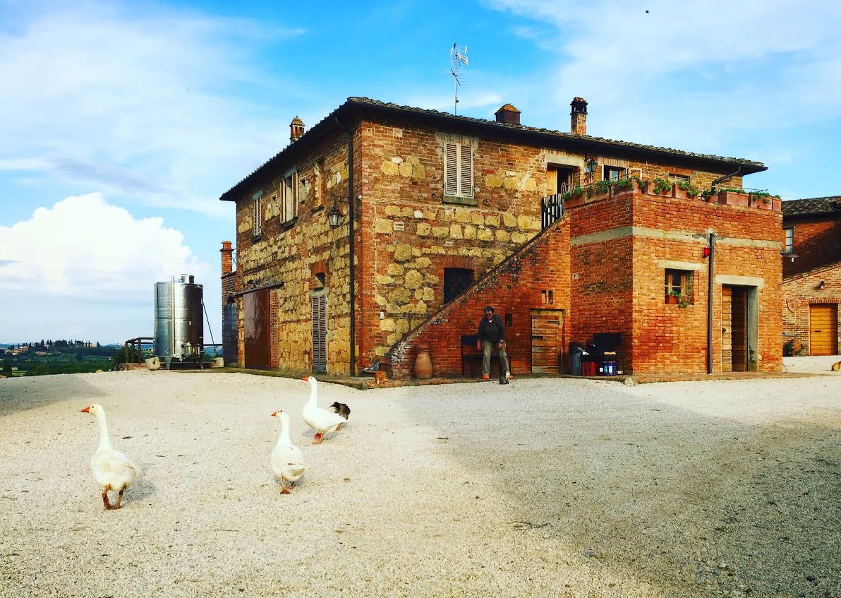 Sanguineto I