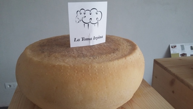 toma-irpina