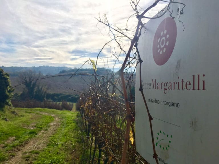 margaritelli-2