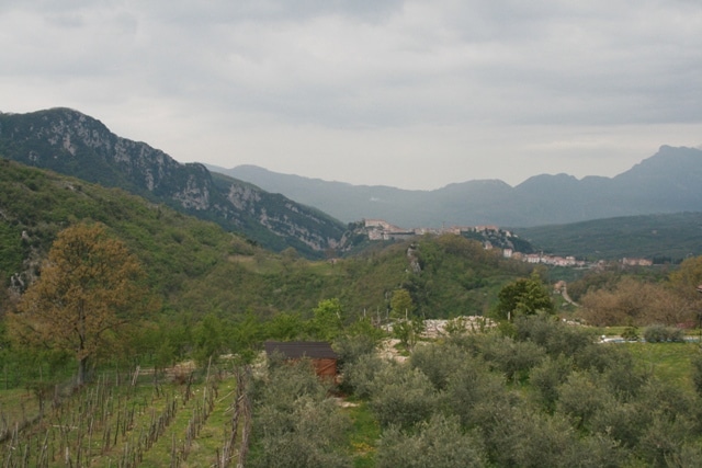 Piaggine (SA), Azienda Agricola Pietro Macellaro