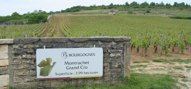 montrachet