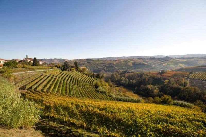 rocche_01 - vietti