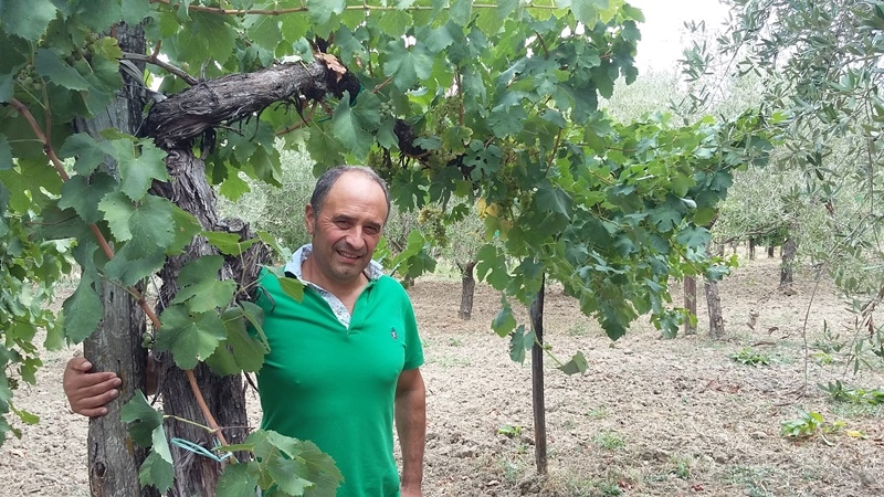 ercole in piante centenaria