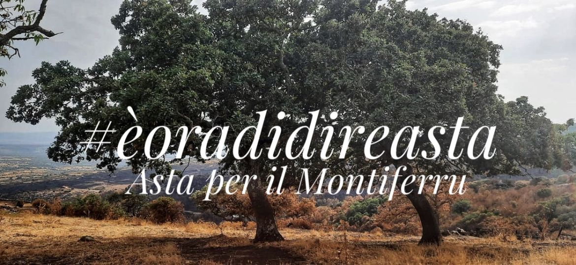immagine asta