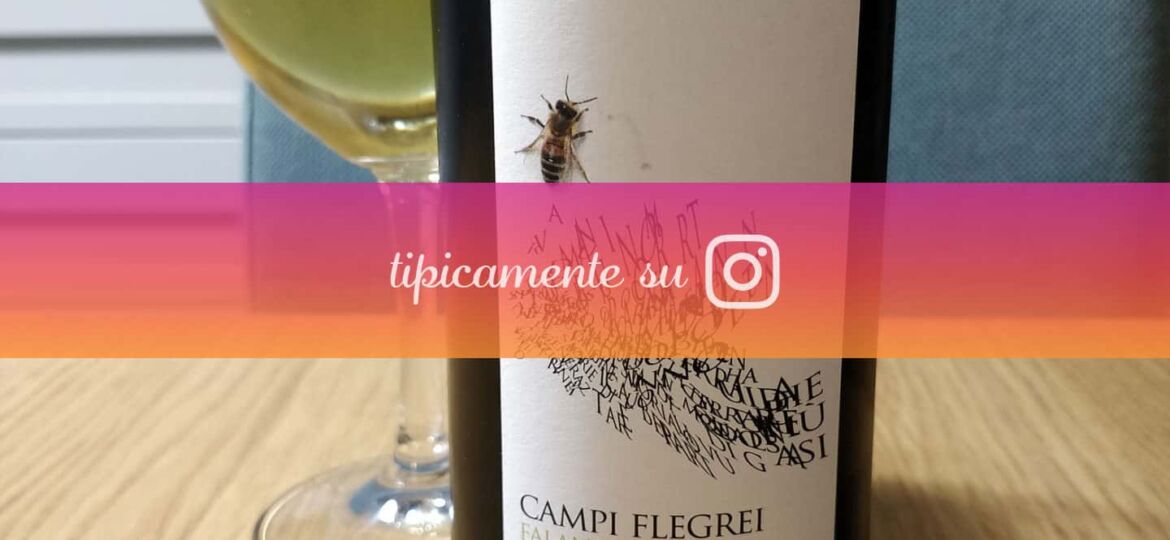 18.-filigrana