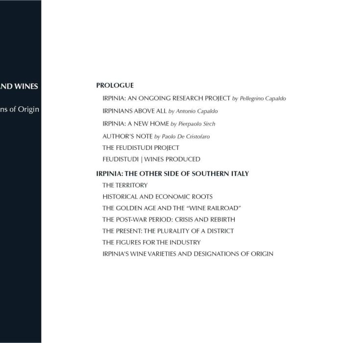1. ENG Ebook 0 - Indice 1