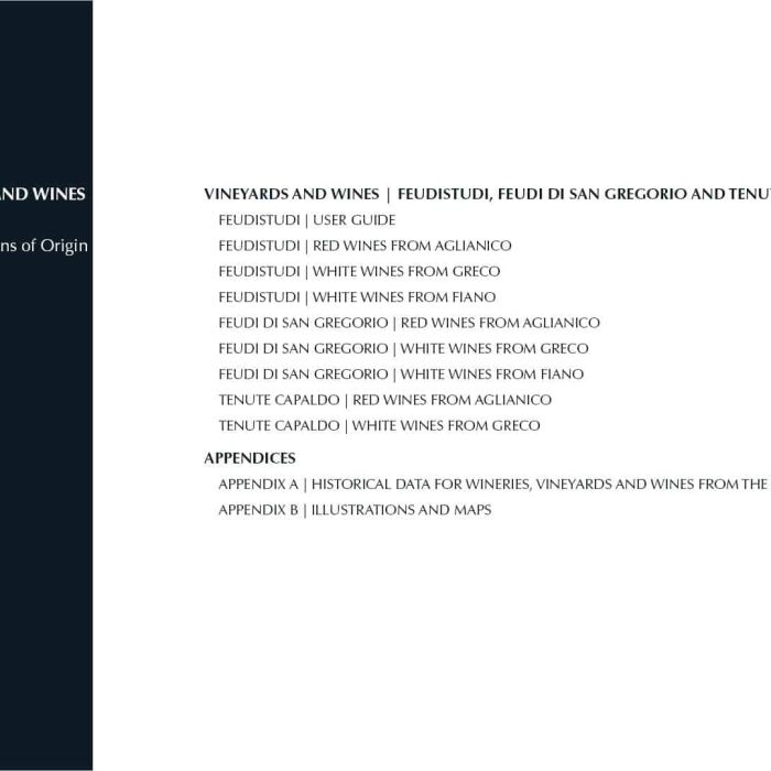 2. ENG Ebook 0 - Indice 2