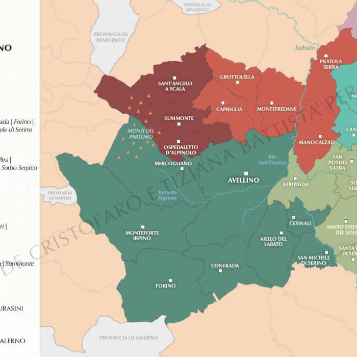 8.-ITA-Ebook-3---Mappa-settori-Fiano-di-Avellino-FILIG