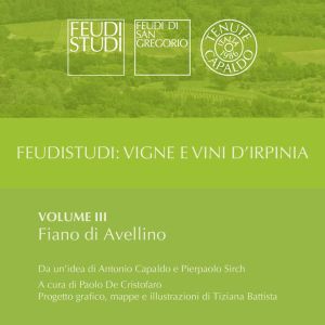 0. ITA FS 3 - Copertina