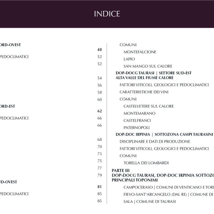 2. ITA Ebook 1 - Indice 2