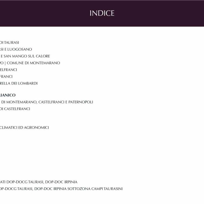 3. ITA Ebook 1 - Indice 3