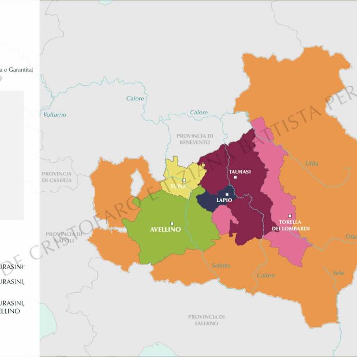 4.-ITA-Ebook-0---mappa-DOP-FILIG