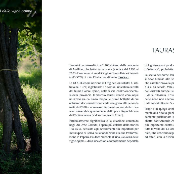 4. ITA Ebook 1 - pag 15