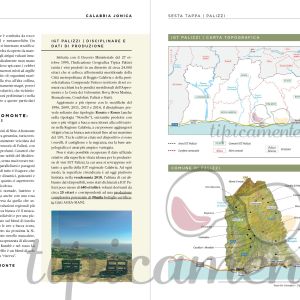 scheda4