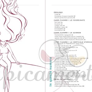 CF-gallery1